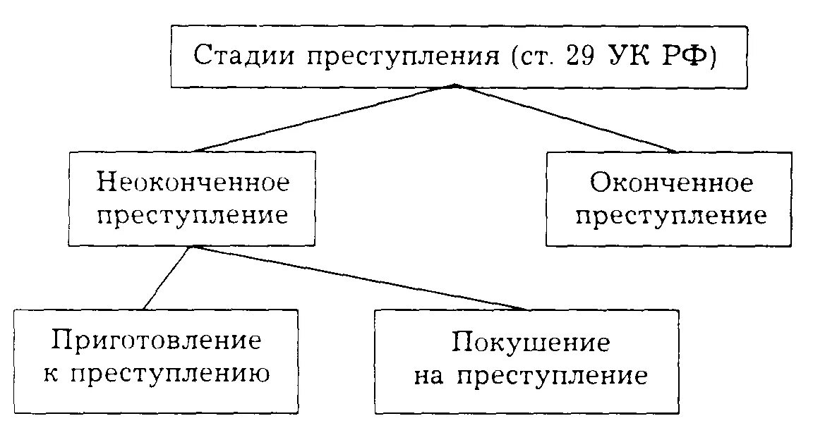 Этапы преступной деятельности