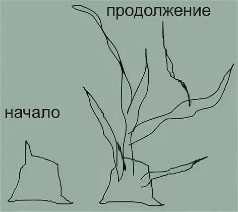 Вижу ветки вижу ветки 4. Вижу ветки вижу ветки цифра 4.