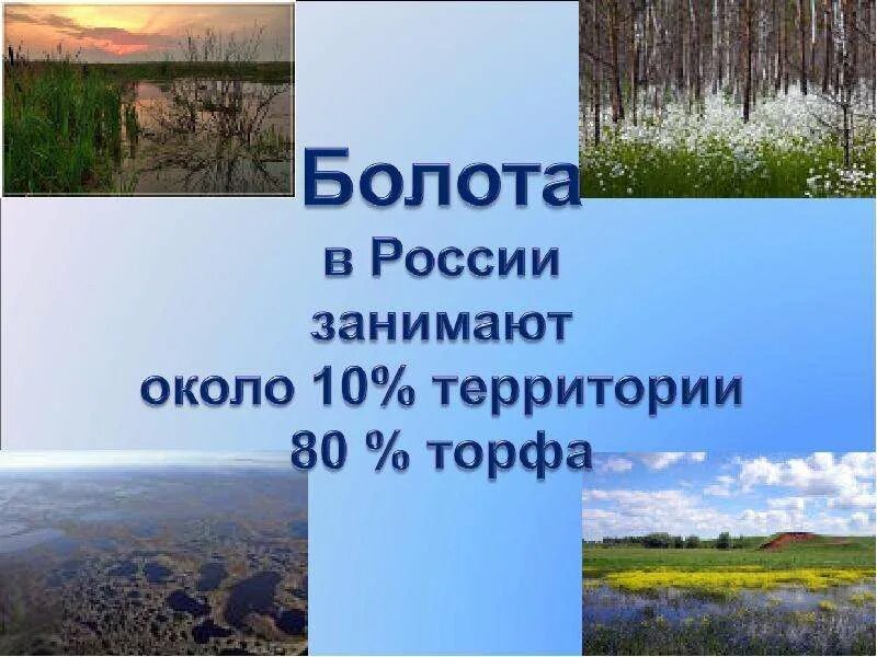 Болота география 8 класс. Озера и болота России 8 класс. Болота 6 класс география. Болота это в географии. Водные богатства ленинградской области