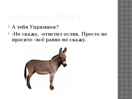 В нее встают упрямцы 4