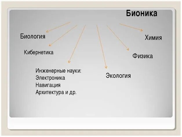 Связь бионики с другими науками схема. Бионика и другие науки. Направления бионики в биологии. Бионика биология и кибернетика.