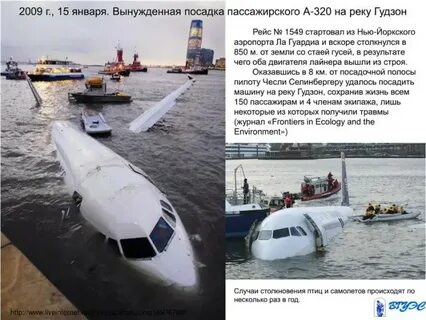 Посадка на воду