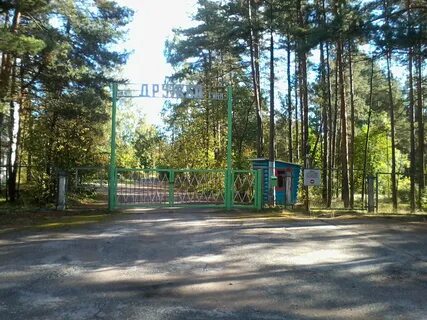Лагерь дружный ленинградская область