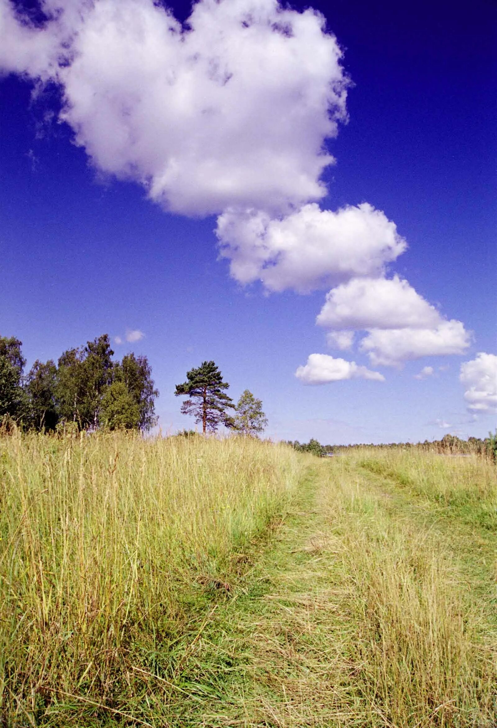 Cloud в россии. Природа. Пейзаж небо. Облака. Природа облака.