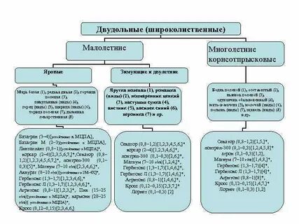 Предупредительные меры сорняки