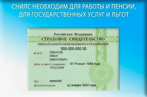Как по номеру снилс узнать дату рождения