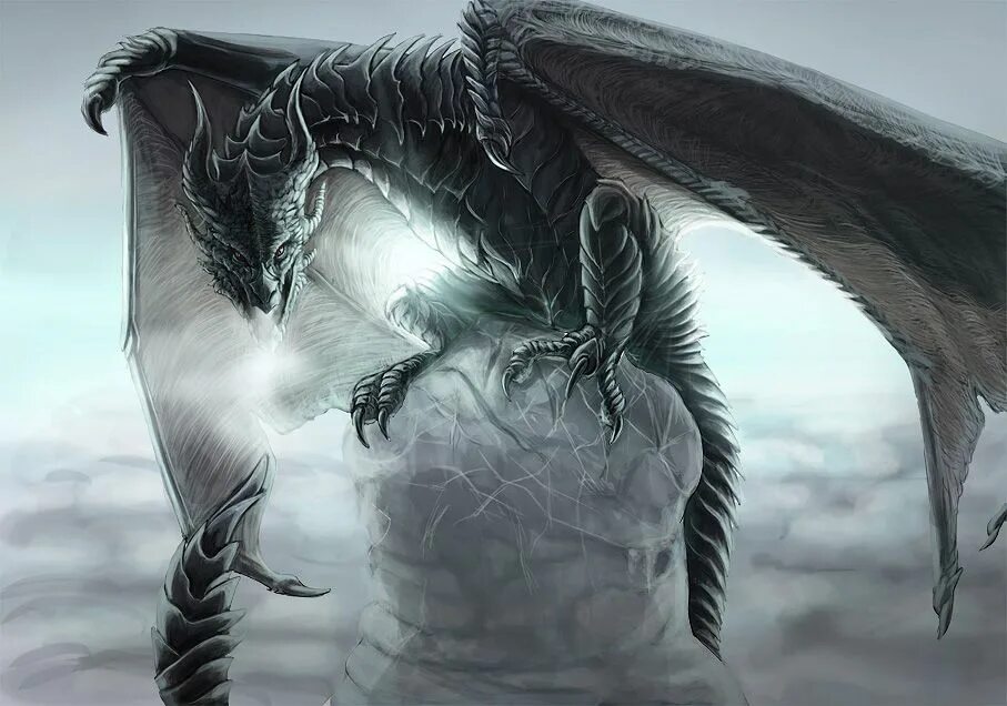 Дракон виверна. Агулшап дракон. Популярные драконы. Огненный дракон. Замок дракона.