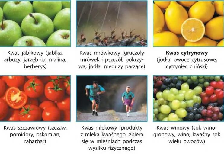 Кислоты содержатся в фруктах. Яблочная кислота в продуктах. Продукты в которых содержится яблочная кислота. Фрукты содержащие яблочную кислоту. Яблочная кислота в природе.