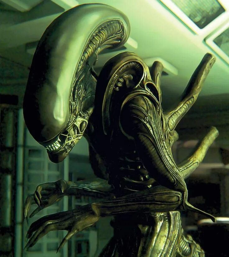 It is a alien. Alien isolation чужой. alien isolation андроиды. чужой из игры чужой изоляция.