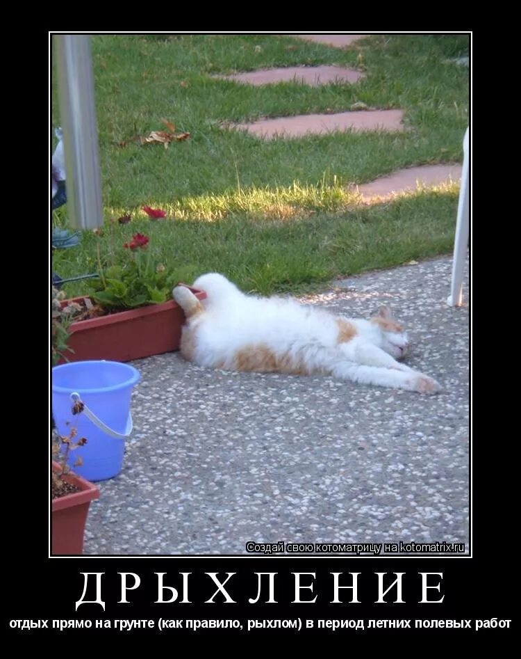 Подкрался ночью незаметно