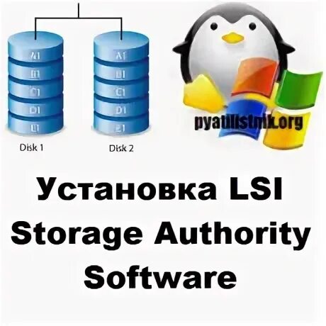 Lsi storage authority. Lsi storage authority software. lsi storage authority linux. lsi storage authority синий экран.