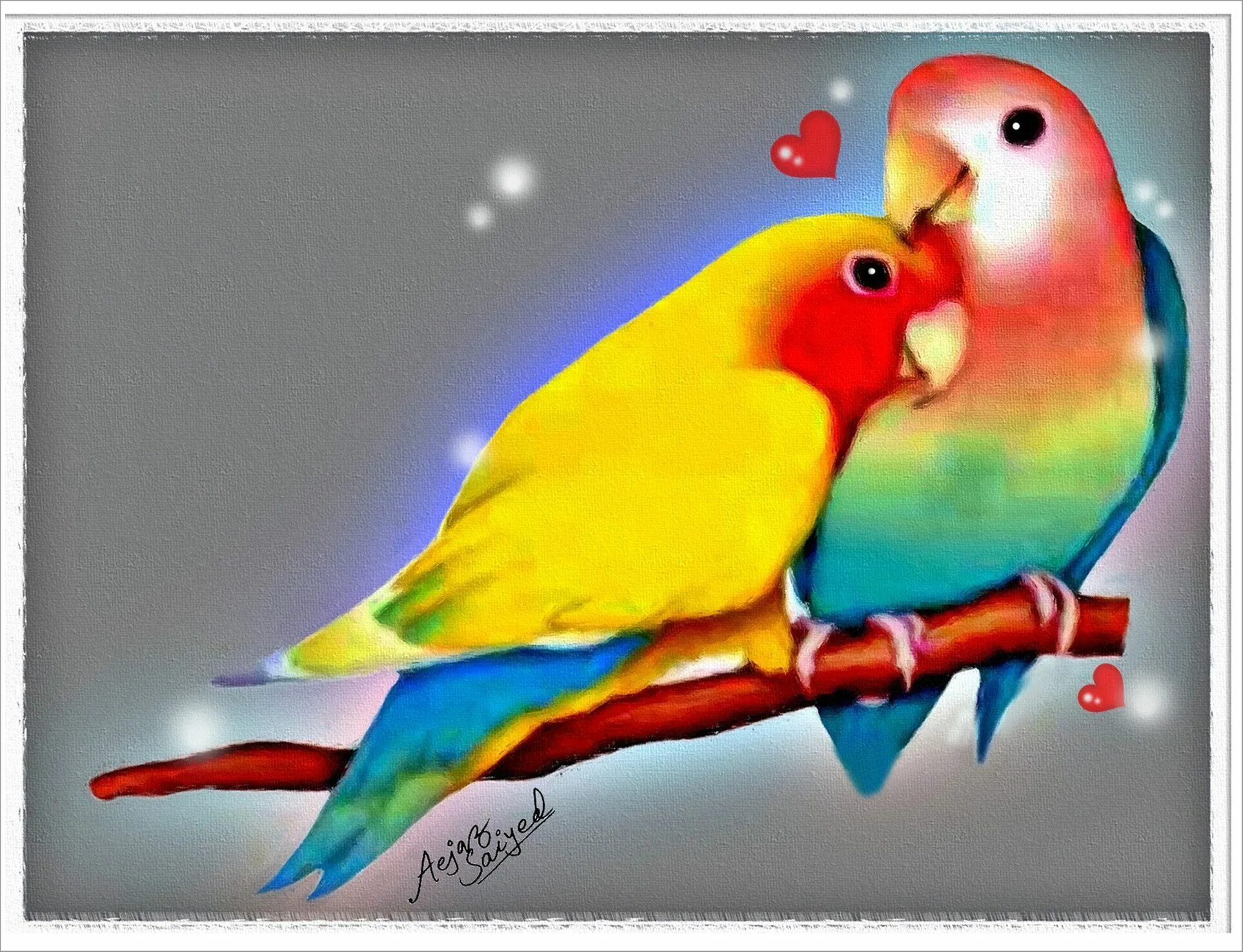 I love birds. Неразлучники попугаи. Попугаи неразлучники любовь. Неразлучники попугаи сердце. Любовь попугаев.