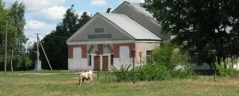 Погода в костино отдельце