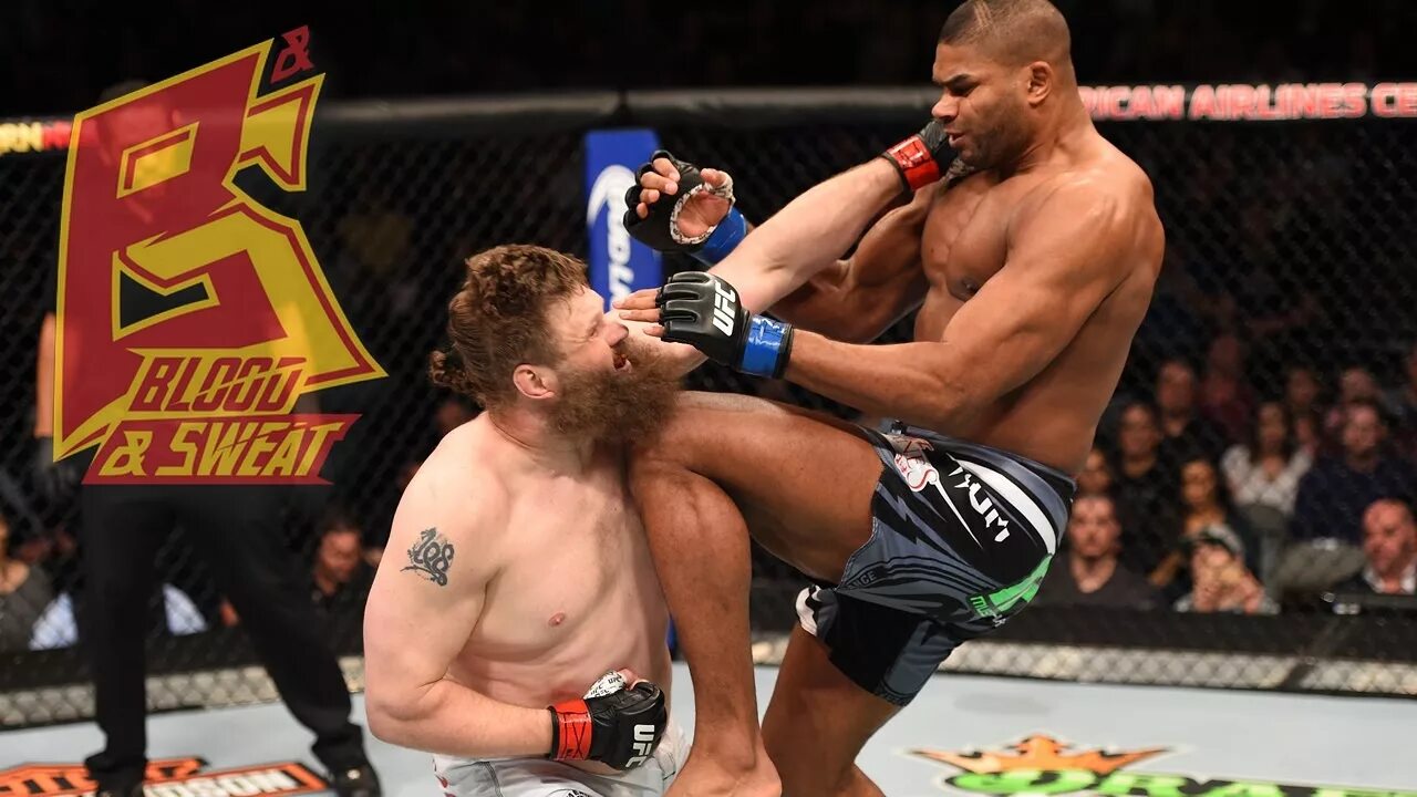 Онегов мма. Alistair Overeem k1. Рой Нельсон UFC нокаут. Алистар Оверим в нокауте.