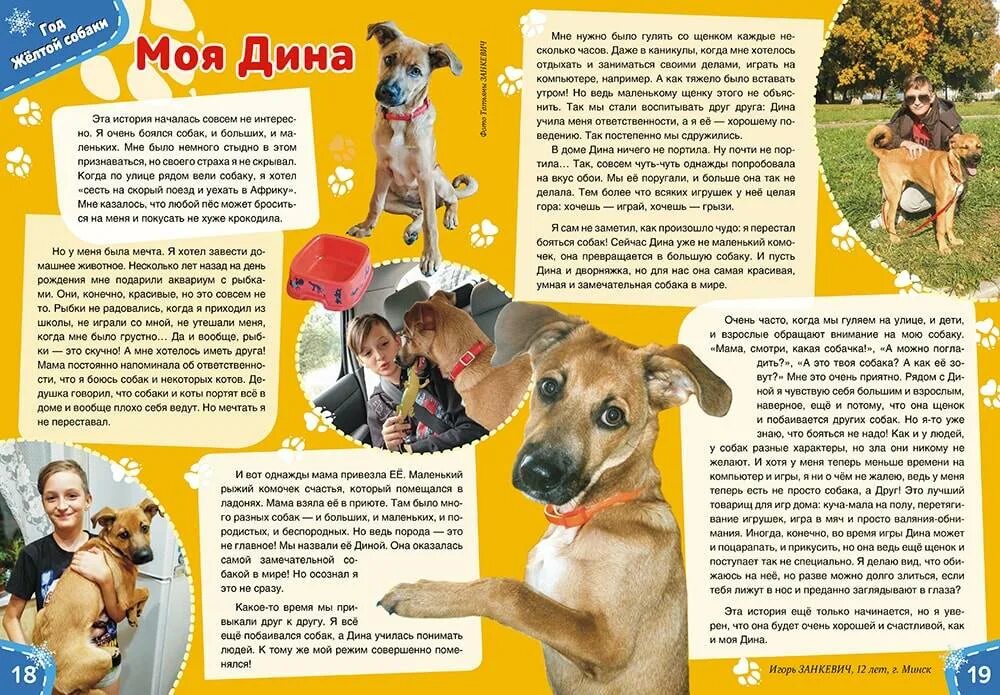 Чего боятся собаки больше всего