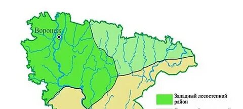 Воронежский климат