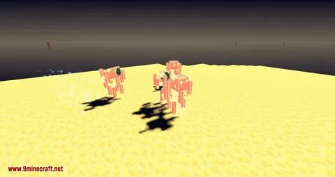 Reborn 1.16 5