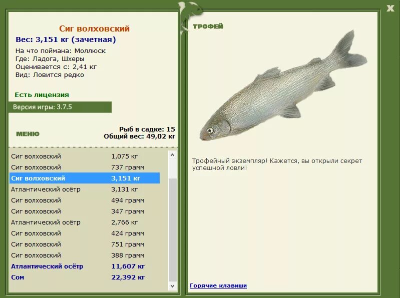 волховский сиг