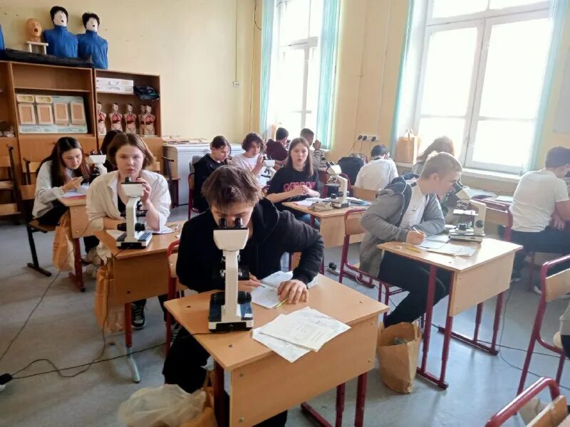 школа 1862 классы. школа 1862 классы. работа с активными классами в школе. центр дополнительного образования одарённых школьников. гбоу школа свао.