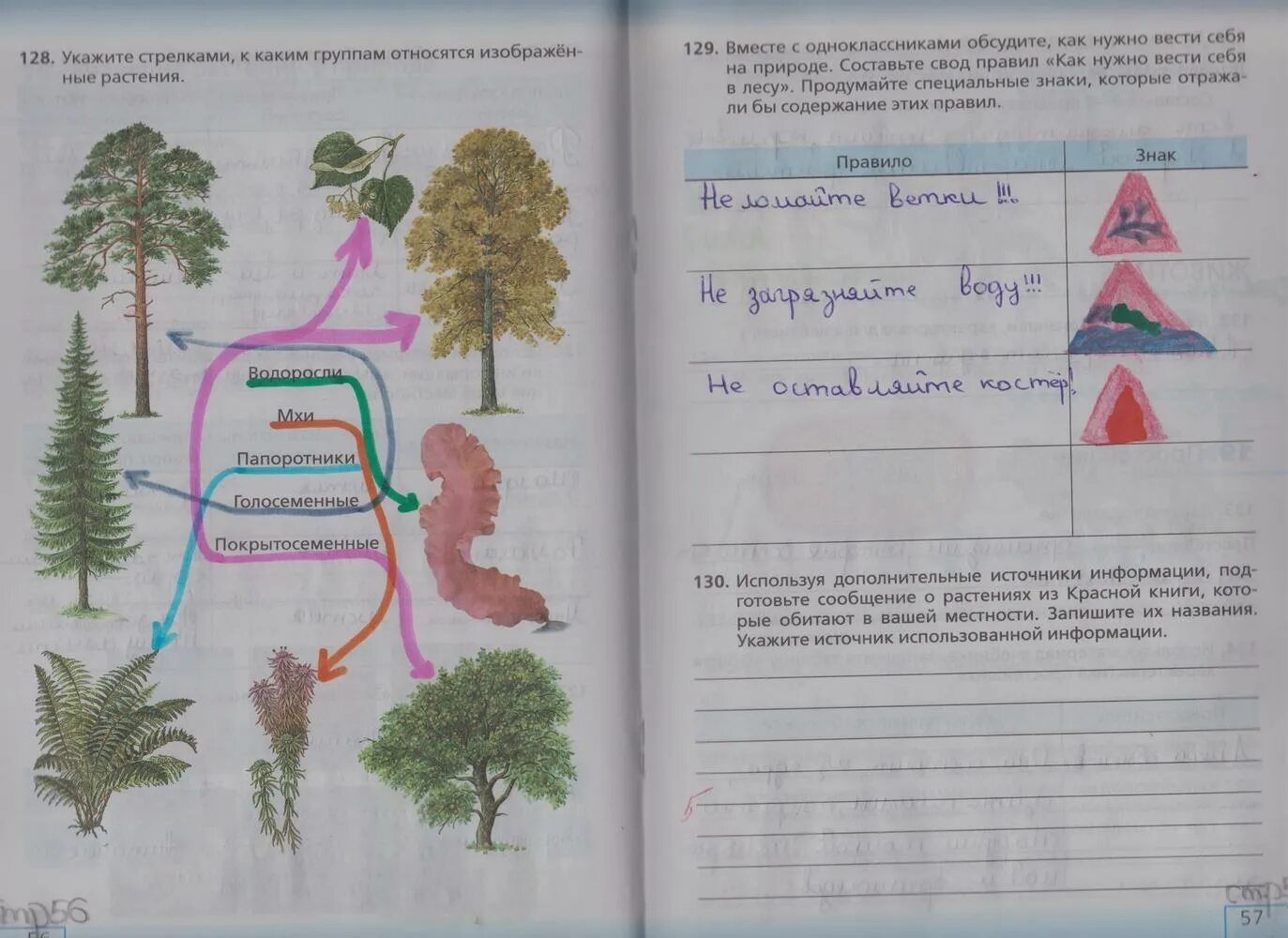 Тетрадь 1 класса страница 55. Биология 5 класс рабочая тетрадь 1 часть стр 56-57 сонин. биология 5 класс рабочая тетрадь страница 56. биология 5 класс учебник задания. биология 5 класс 1 часть рабочая тетрадь номер 5.