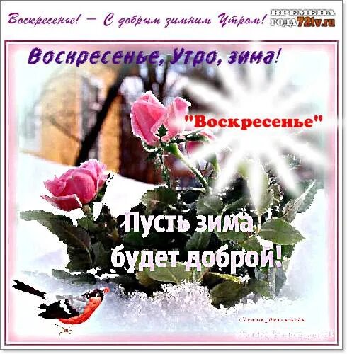 С добрым воскресным февральским утром картинки красивые. С добрым зимним утром воскресенья. доброе воскресное зимнее утро. доброго зимнего дня воскресенья. с добрым утром зимние красивые пожеланиями.