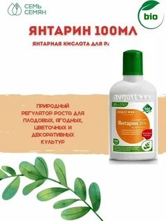 Янтарин для рассады томатов
