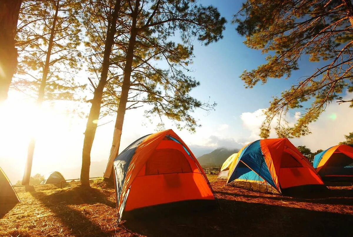 Глэмпинг Forest Camping. Палатка Camping Tent. Форест кемпинг Приморский край. Поход с палатками.