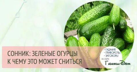Огурцы во сне для женщины с грядки