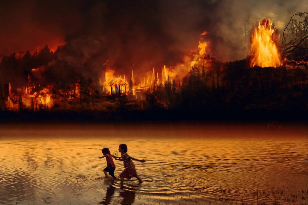 Пожар в лесу. Лес в огне. Пожары в лесу амазонки. Огонь пожар. Река времени огонь