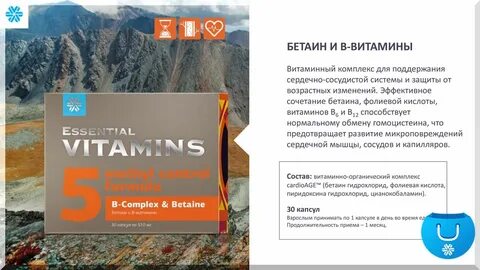 Д3 сибирское