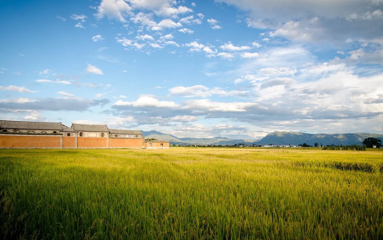 Where field field
