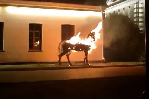 Сгорели лошади