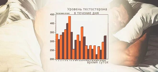 Тестостерон отпускаю. Уровень тестостерона в сутки. Тестостерон в течении суток. Уровень тестостерона в течение дня. Уровень тестостерона у мужчин в течение суток график.