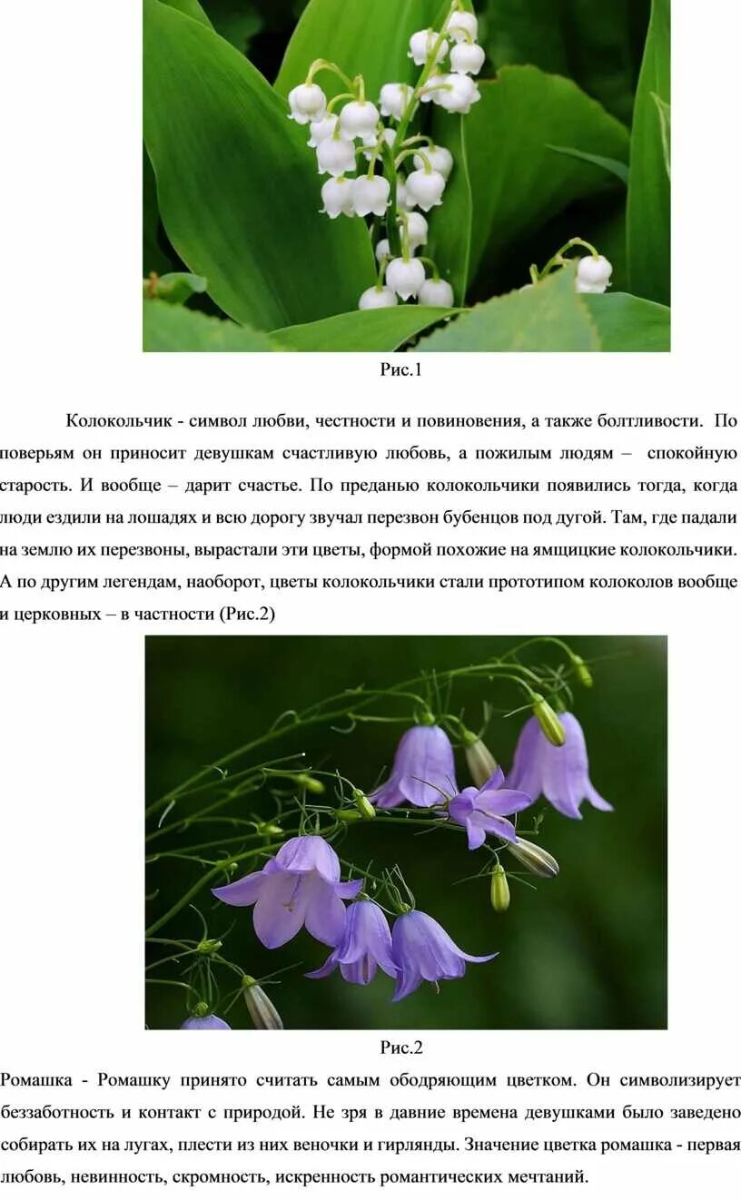 Колокольчик символ чего. Колокольчик что символизирует. колокольчик цветок что символизирует. колокольчик цветок символ вечной любви. кампанула символ.