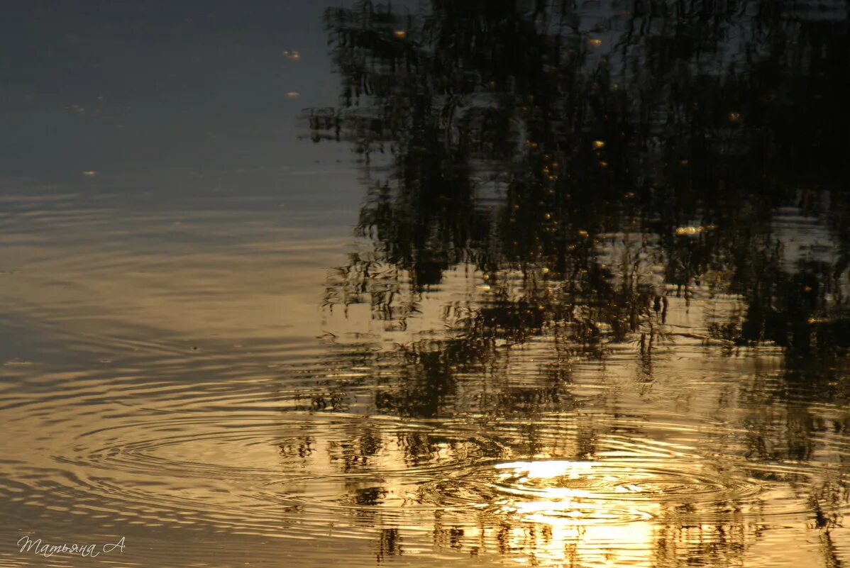 Летом на речке. Темы на телефон река купание, солнце. Блики солнца на воде. Речка солнце. Купаться летом.