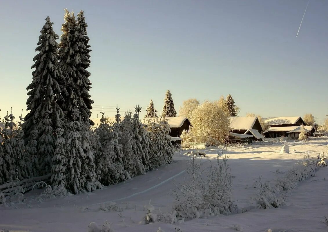 Зимняя деревня. Зима в деревне. Деревня зимой. Хвойная родина