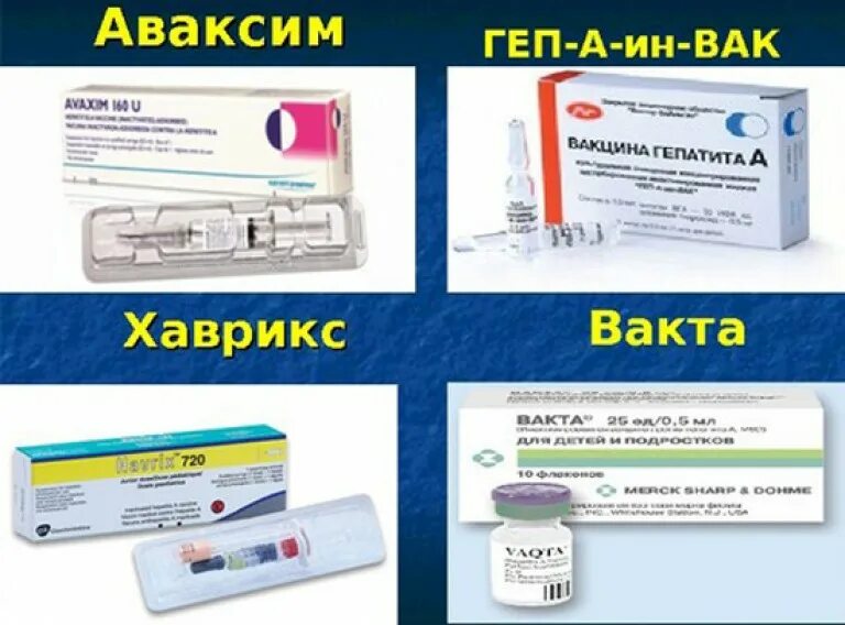 Прививка против гепатита в название вакцины. Гепатит а вакцина схема вакцинации. Инактивированная вакцина против гепатита а. Вакцина гепатит а геп-а -ин-ВАК.