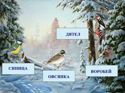 Г скребицкий весенняя песня презентация