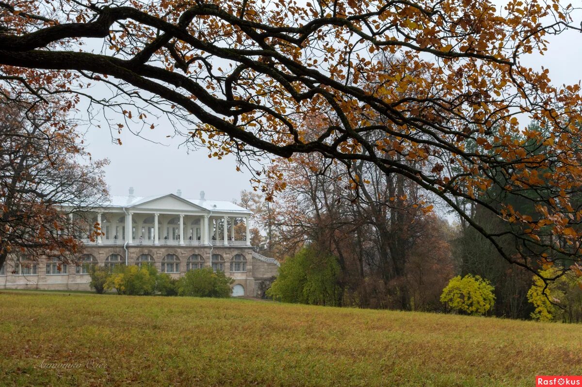 погода в пушкине в октябре