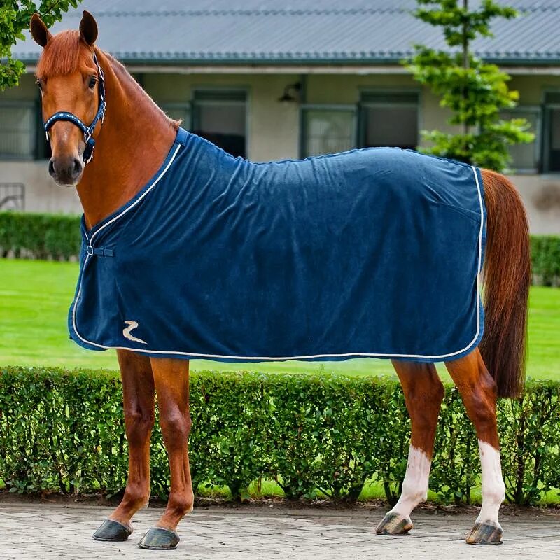 Как называется одежда коня. Наряд для лошади. Лошадки с одеждой. Одежда для лошадей. Одежда для лошадей.