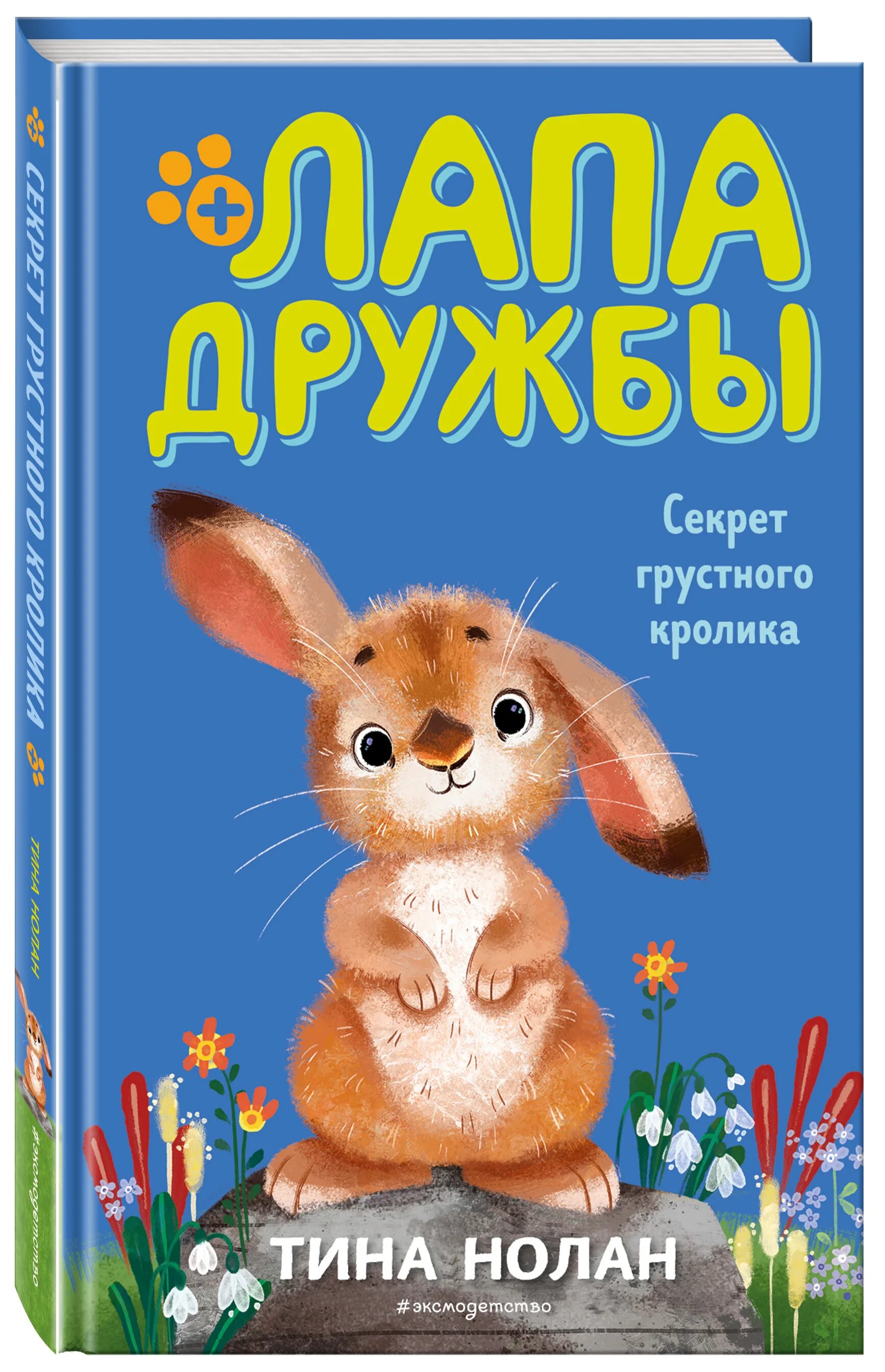 Лапа дружбы. Лапа дружбы секрет грустного кролика. лапа дружбы книга. нолан, т. секрет грустного кролика . нолан лапа дружбы.