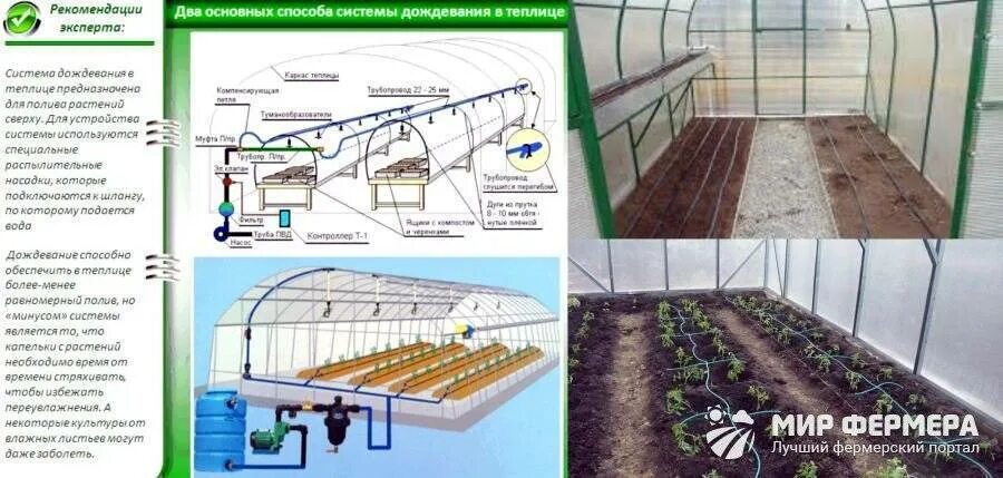 Капельный полив в теплице 3х4. Автоматический капельный полив схема. Полив урожая. Полив томатов дождеванием. Система капельного полива в теплице автоматического полива.