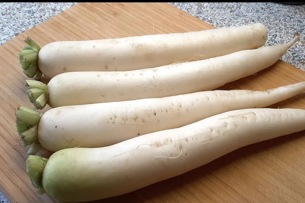 White radishes Free stock photos - Rgbstock - Free stock images micromoth July -
