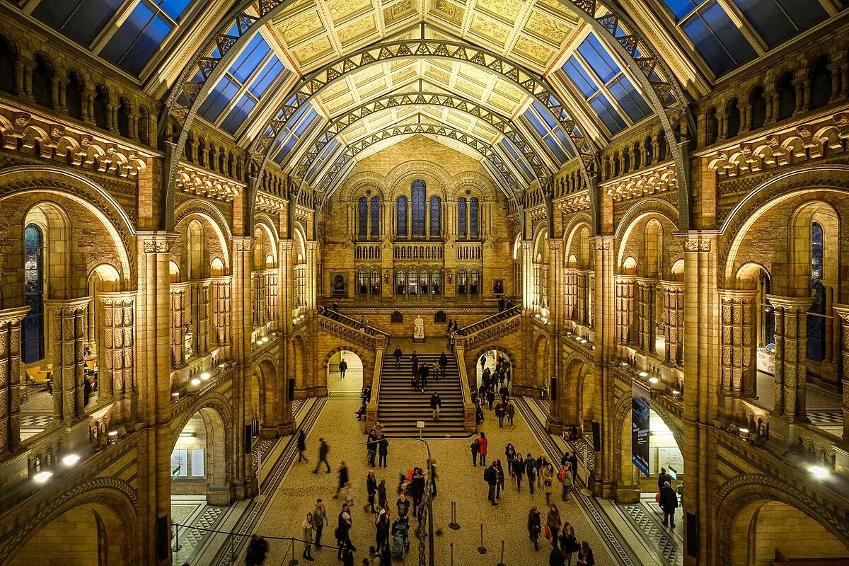 В каких странах находятся музеи. Британский музей в Лондоне. Музей естествознания Лондон архитектура. Музей естествознания Лондон Центральный зал. Натурал хистори музей Лондон.