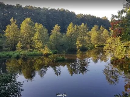 Погода сосновка гурьевский