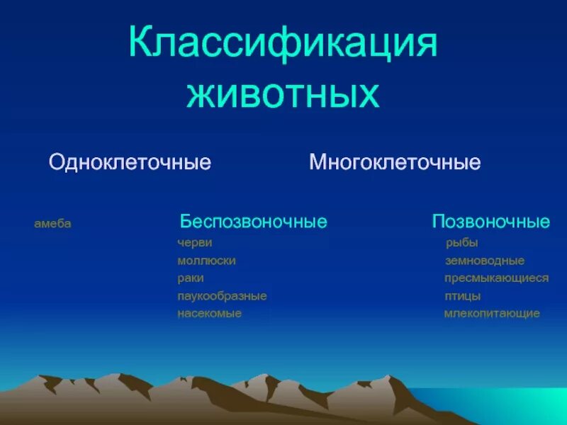 3 систематики животных. Классификация животных. классификация животных 3 класс. позвоночные животные классификация. систематика многоклеточных животных.