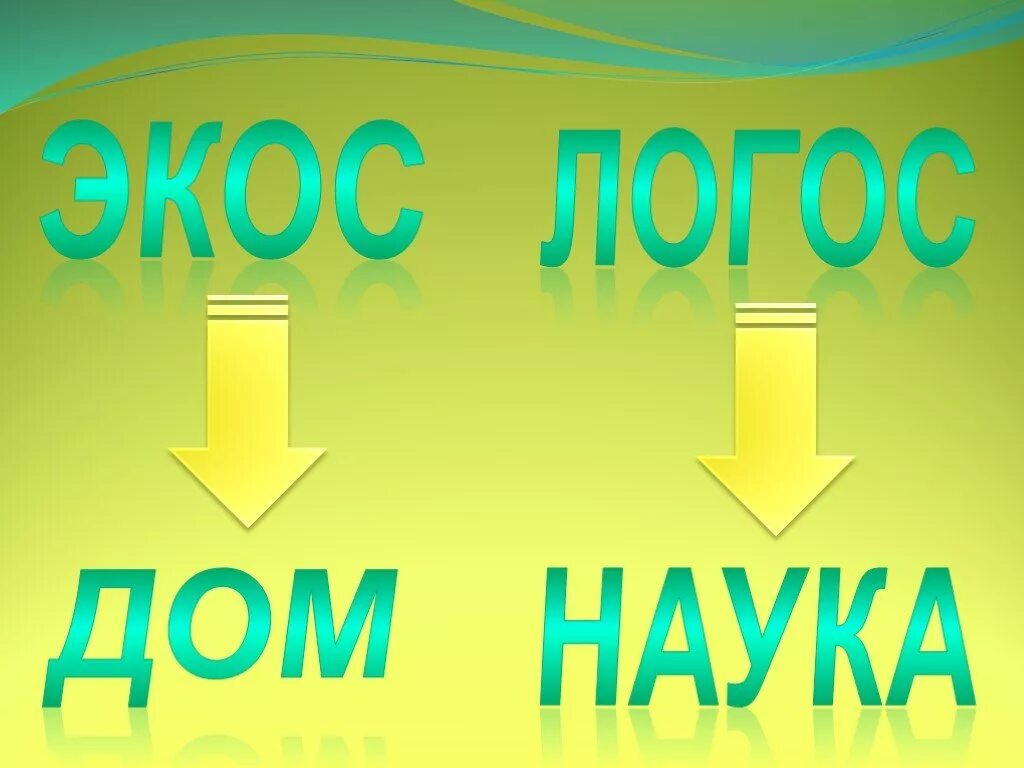 Что такое экос