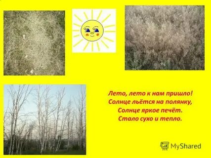 Что пришло с солнцем