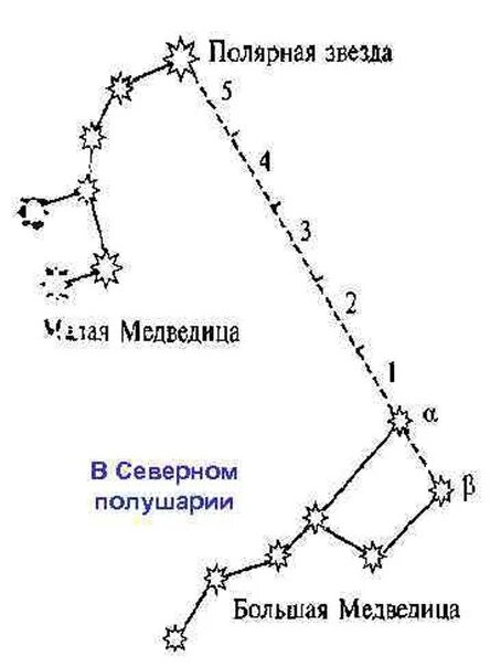 Большая и малая Медведица Полярная звезда. Полярная звезда в малой Медведице. Созвездие малой медведицы. Малая Медведица Созвездие схема. Сколько звезд составляют большую медведицу