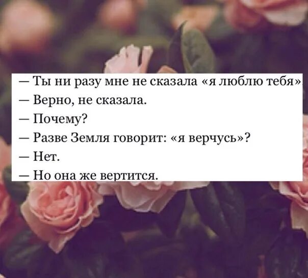 Бывший сказал что любит другую. Я люблю тебя цитаты. Я люблю его цитаты. Я тебя не люблю цитаты. Цитаты я не люблю.